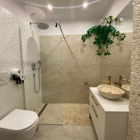 Dziejba Lesna Apartamenty&spa - Domek 木屋 *