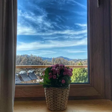 木屋 Dziejba Lesna Apartamenty&spa - Domek *