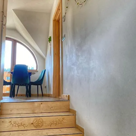 Dziejba Lesna Apartamenty&spa - Domek 木屋 *